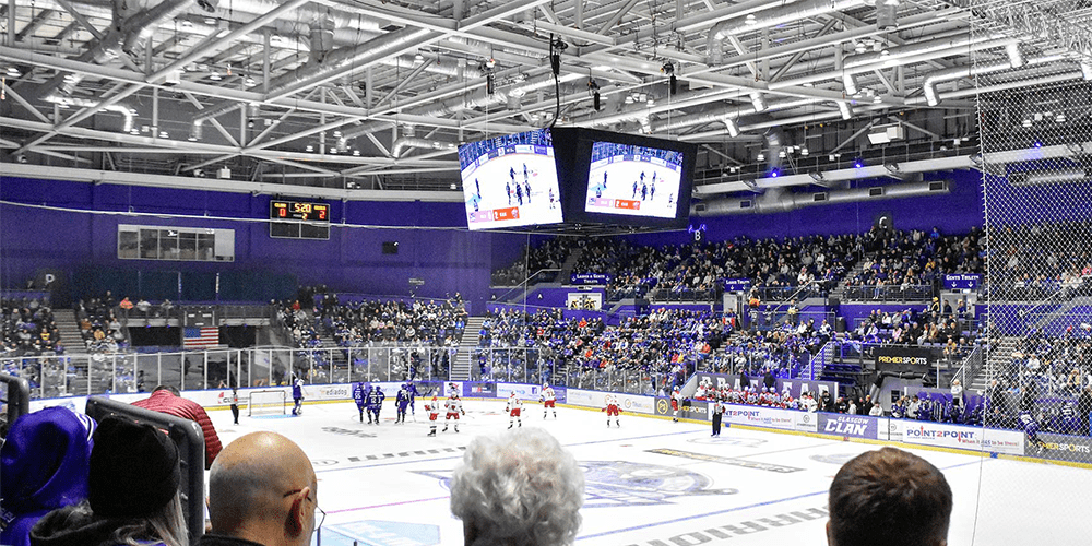 Sports Stadiums and Live Events Sports Stadiums and Live Events